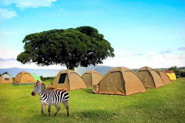 2-days-tanzania-budget-camping-safari